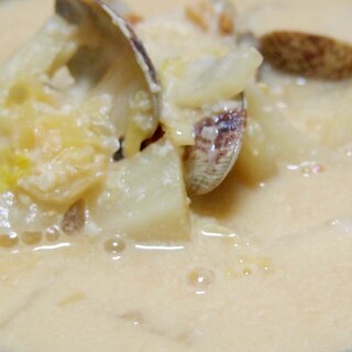 白菜とあさりの酒粕味噌豆乳スープ